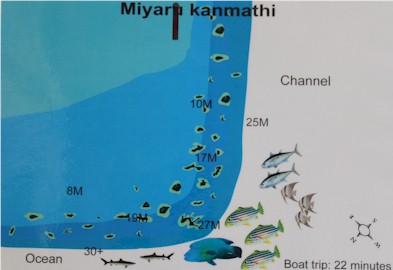 Miyaru Kanmathi